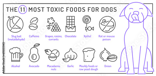 What is poisonous to dogs. Editable vector illustration