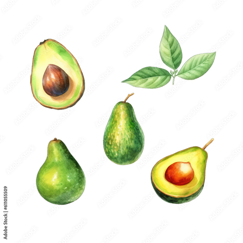 Watercolor Style Cut-off Avocado Illustration Watercolor Style Cut-off Avocado Illustration