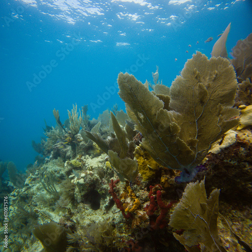 Key Largo 2