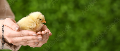 Woman holding cute yellow c...