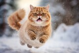 Lifestyle portrait photography of a smiling exotic shorthair cat leaping against a snowy winter scene. With generative AI technology