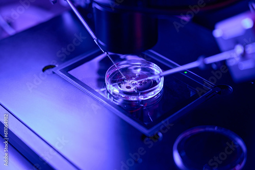 Canvastavla Close-up view to micromanipulation with germ cells