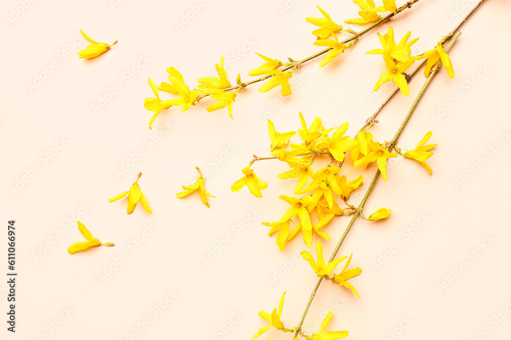 Blooming tree branches with yellow flowers on beige background
