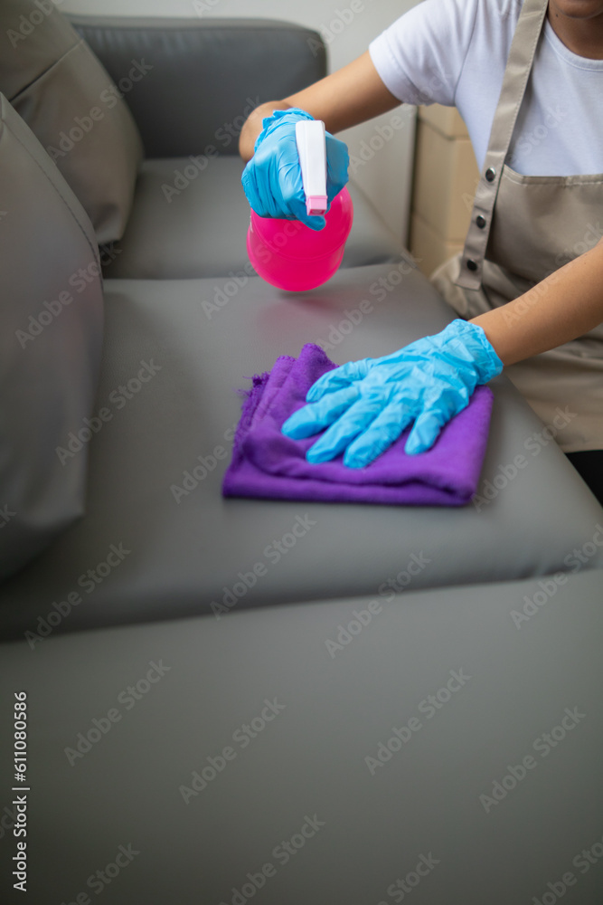 Cleaning staff is wiping cloth with cleaner and disinfectant on the surface of sofa to make the sofa clean with cleaning products and free from germs clinging to surface of the sofa in living room. Cleaning staff is wiping cloth with cleaner and disinfectant on the surface of sofa to make the sofa clean with cleaning products and free from germs clinging to surface of the sofa in living room.