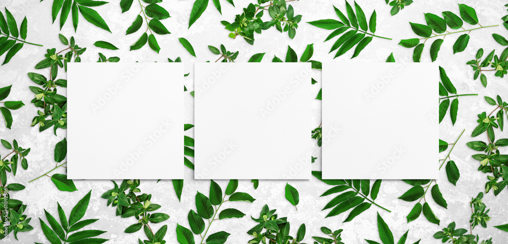 Green leaves and watercolor sheets of paper on a white background. Tree branches with leaves, blank cards. Nature big banner, organic poster, ecology mockup. Top view, flat lay, close up, copy space