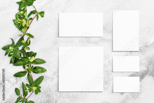 Composition of leaves and white watercolor sheets of paper on gray concrete background. Tree branches with leaves, blank cards. Nature mockup, ecology poster. Top view, flat lay, close up, copy space