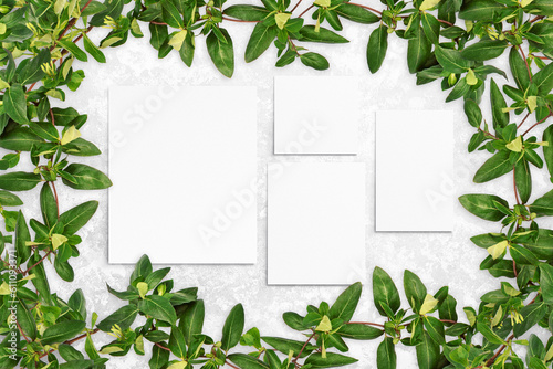 Composition of leaves and white watercolor sheets of paper on gray concrete background. Tree branches with leaves, blank cards. Nature mockup, ecology poster. Top view, flat lay, close up, copy space