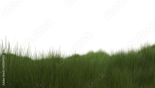 Green grass field isolated on transparent background. A Versatile and Natural Design Element.