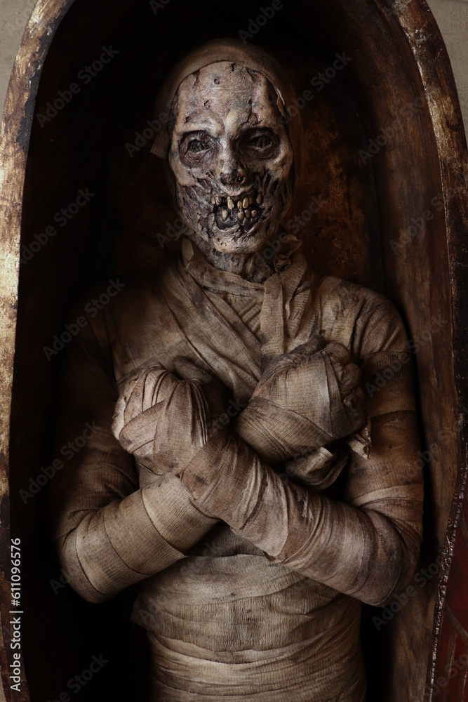 Egyptian Mummy with Sarcophagus 10 Egyptian Mummy with Sarcophagus 10