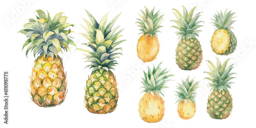 watercolor pineapple clipart for graphic resources