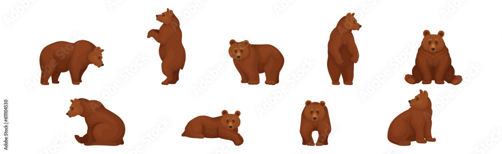 Obraz premium Large Brown Bear in Different Pose Vector Set