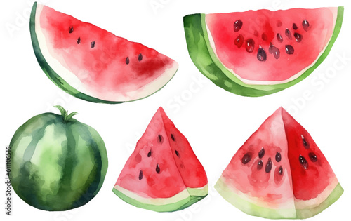 set vector watercolor illustration of ripe watermelon isolated on white background