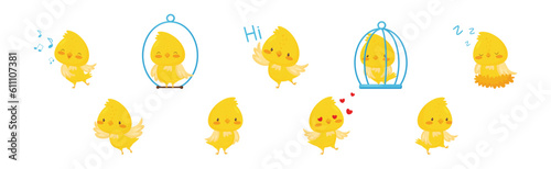 Cute Canary Bird with Bright Yellow Feathers Vector Set