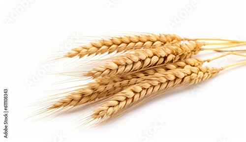 Three wheat spikelets isolated on white background. Top view wheats. created with Generative Al technology.