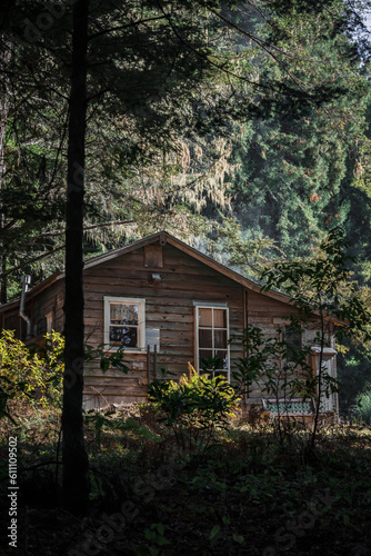 Cozy cabin in the woods getaway