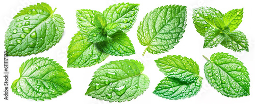 Set of mint leaves with drops isolated on white background.