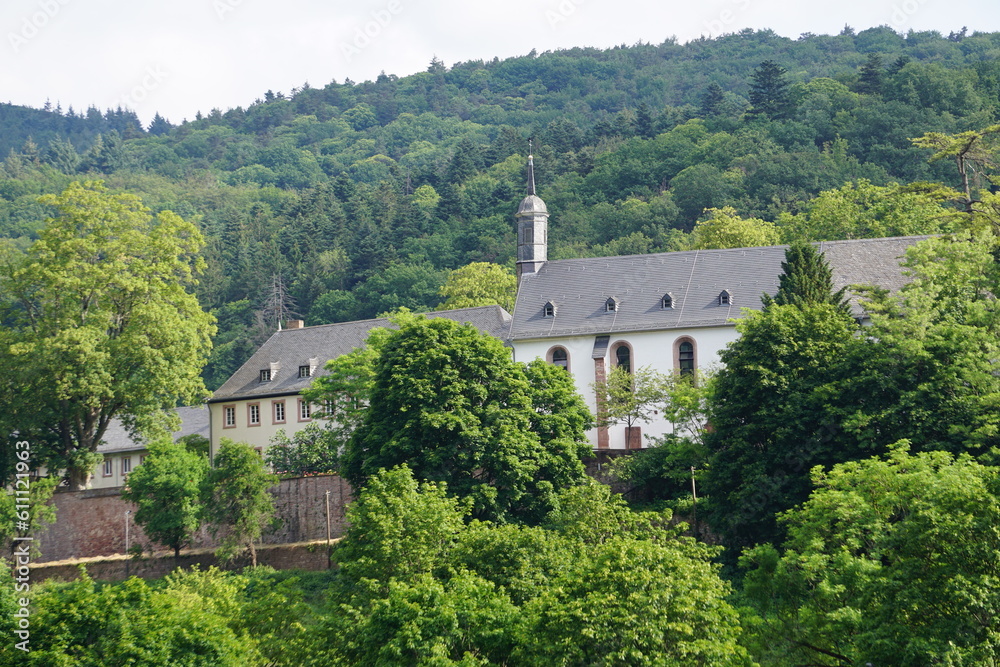 Aufnahme Kloster Stift Neuburg von der gegenüberliegenden Neckarseite