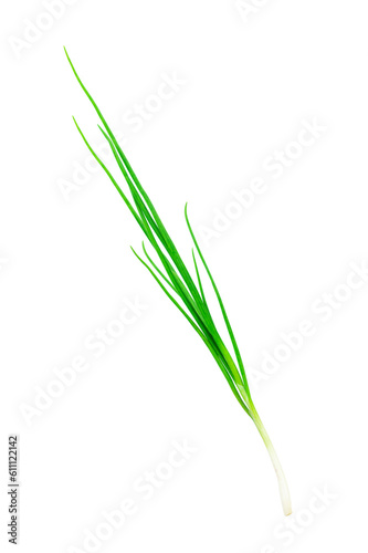 green young onion isolated from background