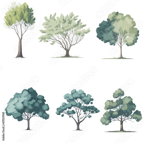 Minimal style tree painting hand drawn. Tree watercolor vector illustration. Set of graphics trees elements drawing for architecture and landscape design. White background