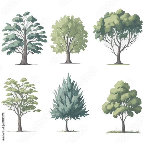 Minimal style tree painting hand drawn. Tree watercolor vector illustration. Set of graphics trees elements drawing for architecture and landscape design. White background
