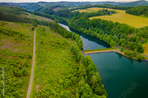 Aerial view of green summer forest and blue river © Hristo Shanov