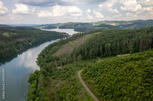 Aerial view of green summer forest and blue river
