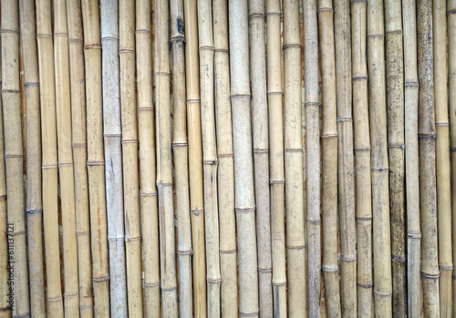 Bamboo as background or texture.