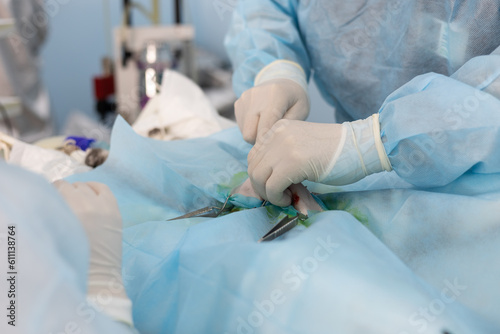 In light surgery, a veterinarian performs endoscopic surgery on a pet. Veterinary surgeon in uniform operates endoscopically on a pet. The concept of endoscopic surgery in a pet.