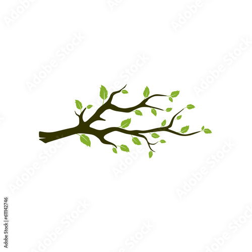 Branch tree with leaves vector, natural products or eco icon template design.