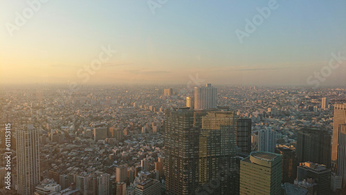 Tokyo city skyline overview 