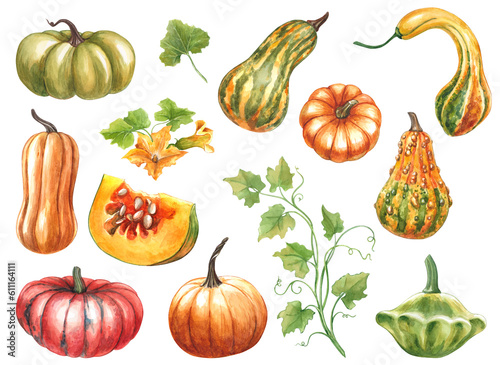 Принти на полотні Set of pumpkins isolated on white background