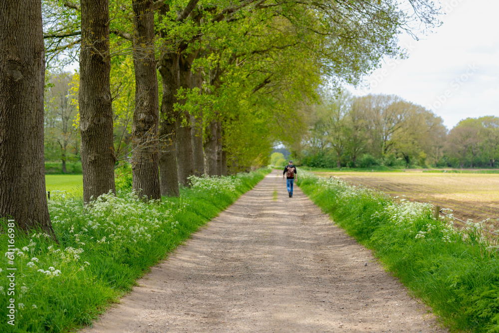 Gravel nature path through the trees along the side, The Pieterpad is a long distance walking route in the Netherlands, The trail runs from northern part of Groningen to end just south of Maastricht. Gravel nature path through the trees along the side, The Pieterpad is a long distance walking route in the Netherlands, The trail runs from northern part of Groningen to end just south of Maastricht.