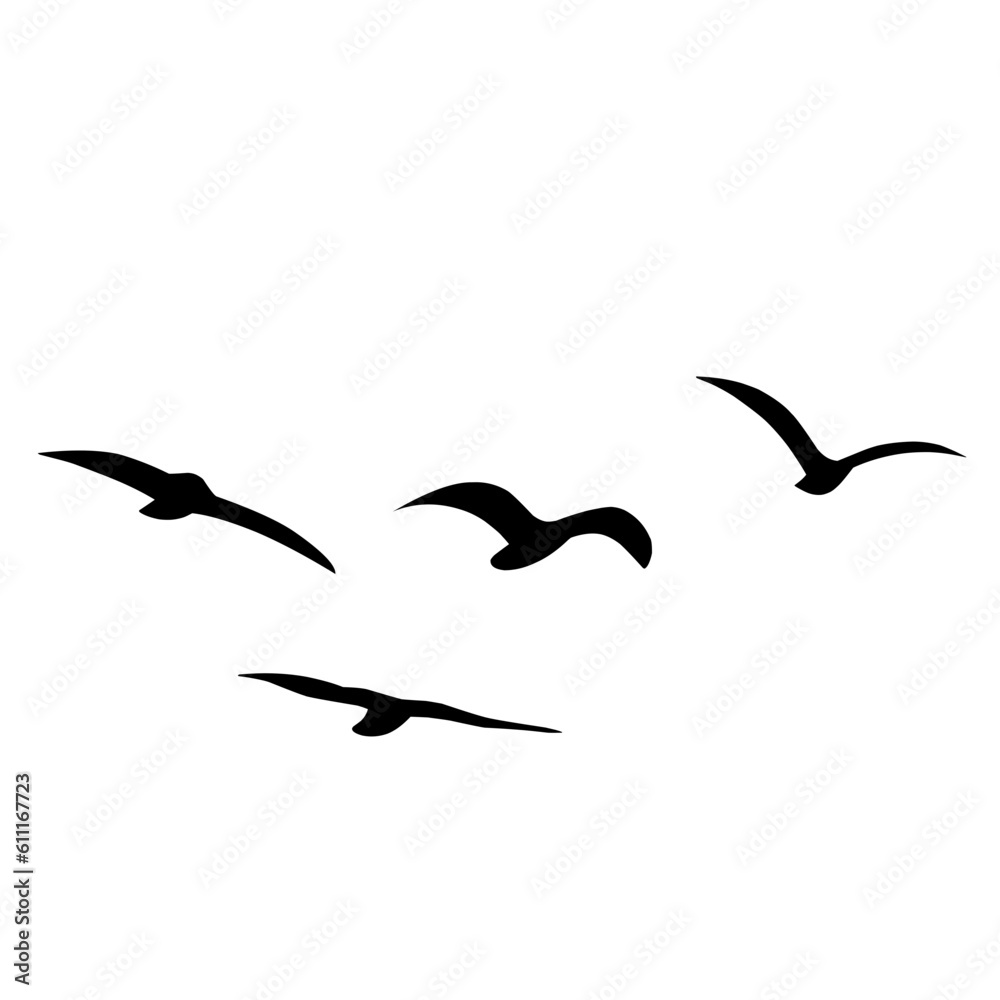 Silhouette of flying birds Silhouette of flying birds