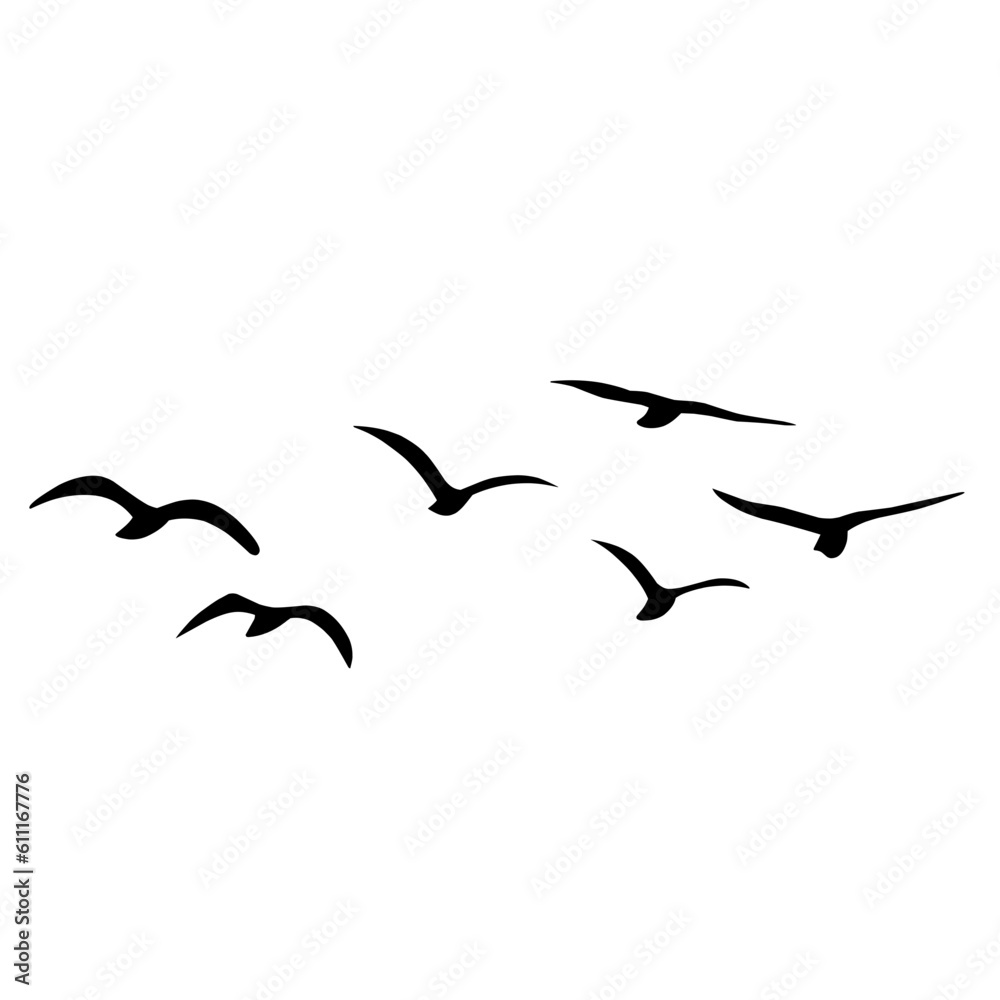 Silhouette of flying birds Silhouette of flying birds