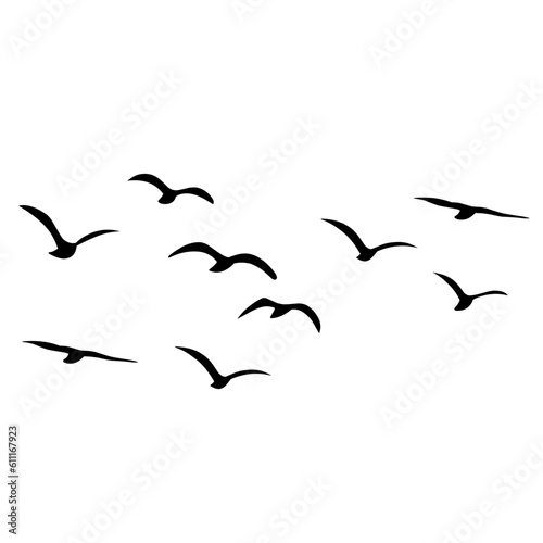 Silhouette of flying birds