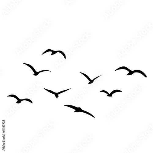 Silhouette of flying birds
