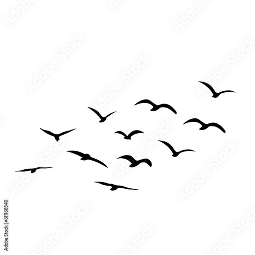 Silhouette of flying birds © King Silhouette