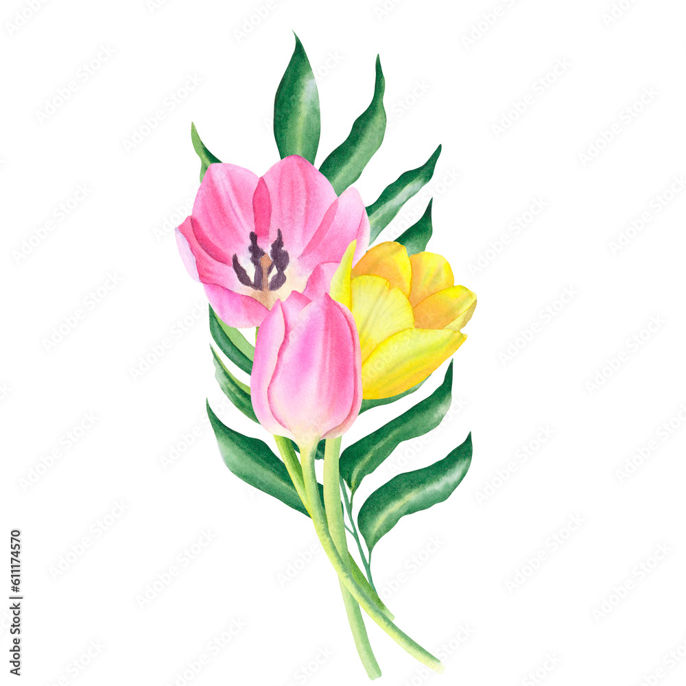 Bouquet of leaf and tulips in pink and yellow colors isolated on a transparent background. Hand drawn watercolor.