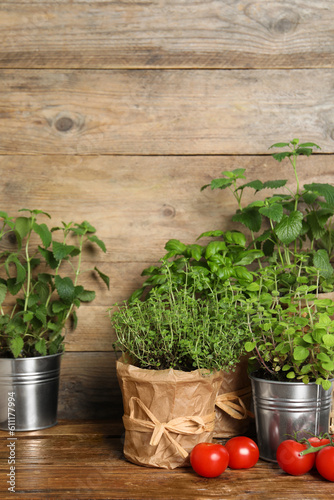 Different aromatic potted herbs and tomatoes on wooden table
