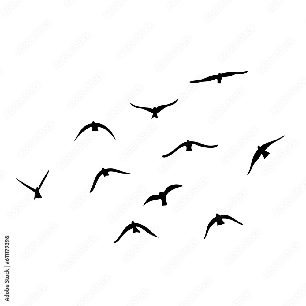 Flying birds silhouettes vector Flying birds silhouettes vector