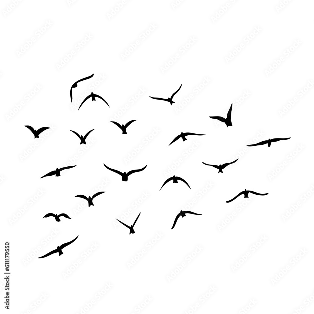 Flying birds silhouettes vector Flying birds silhouettes vector