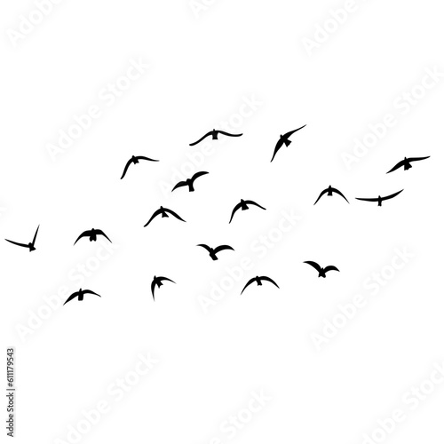 Flying birds silhouettes vector