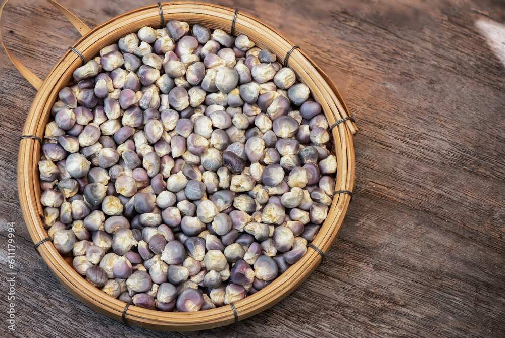 Dried seeds corn on nature background. Dried seeds corn on nature background.