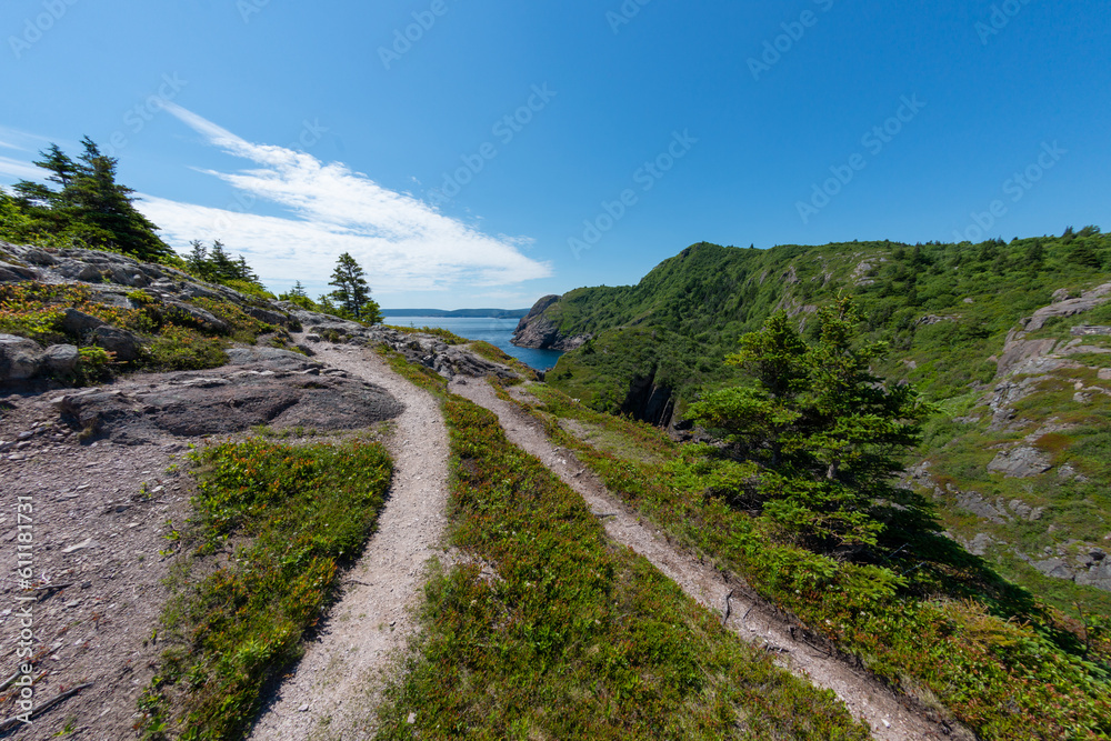 A narrow footpath or hiking trail along the edge of a high cliff with the deep blue Atlantic Ocean below. The path is surrounded by vibrant green grass and a steep slope to the right with a blue sky.