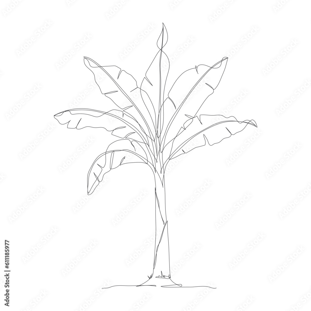 One continuous line drawing of banana tree. Banana tree line art