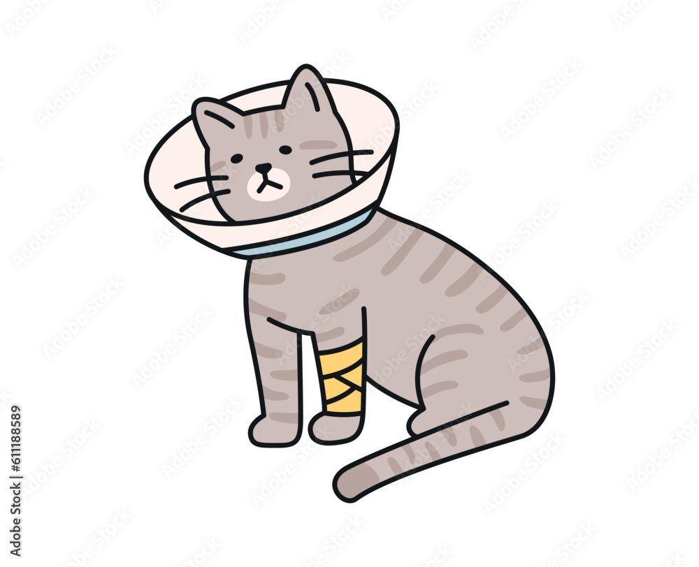 Fototapeta premium Cute cat. An injured cat is wearing a neck collar and a bandage.