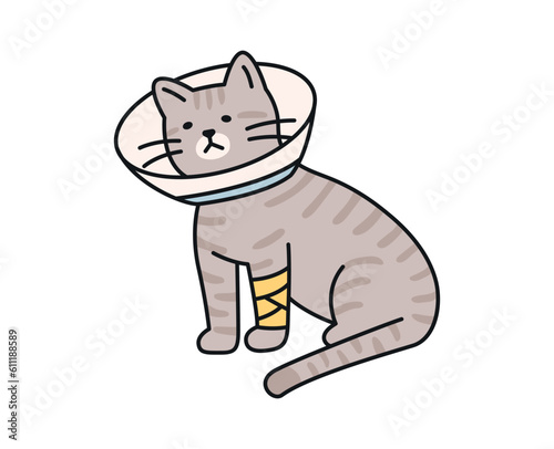 Cute cat. An injured cat is wearing a neck collar and a bandage.