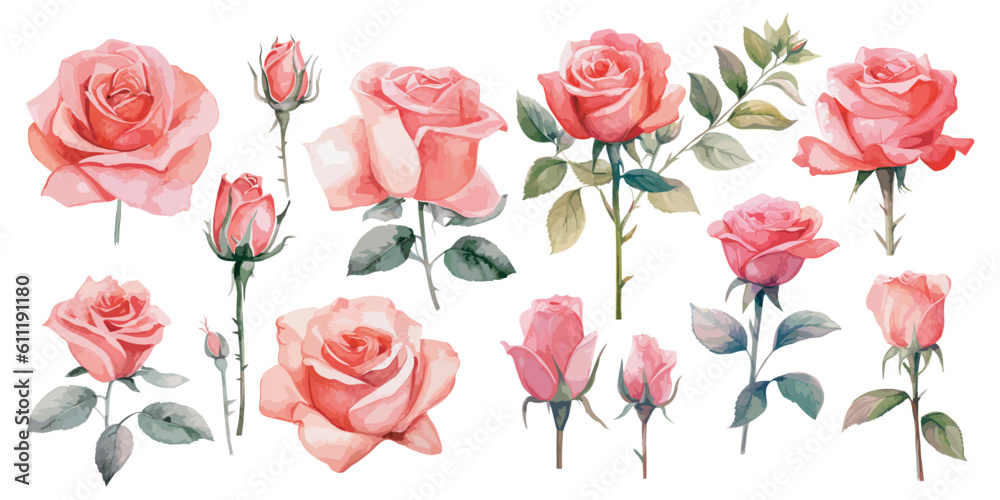watercolor pink rose clipart for graphic resources - obrazy, fototapety, plakaty 