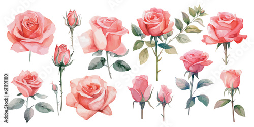 watercolor pink rose clipart for graphic resources photo
