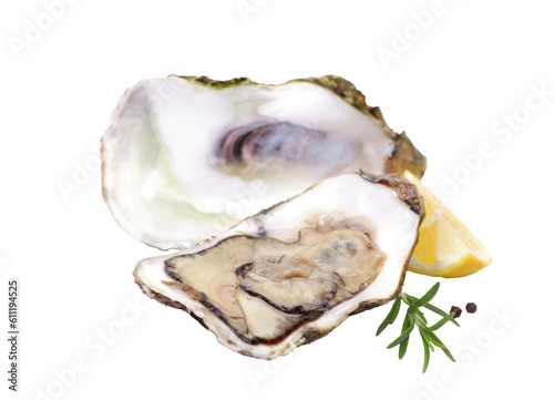 Oysters on a white isolated